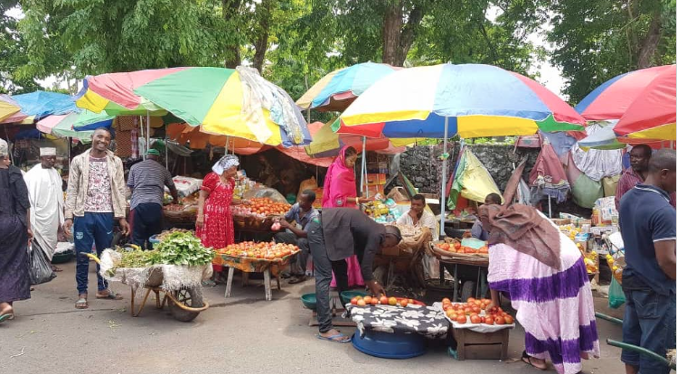 image Les comoriens se tournent vers les légumes